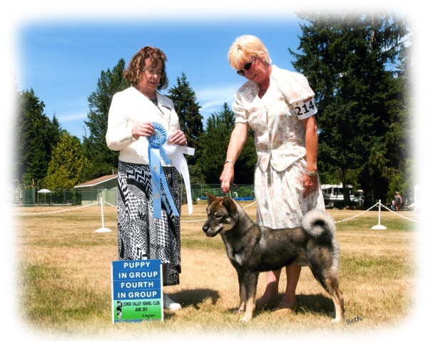 Kiba with Judge and handler
