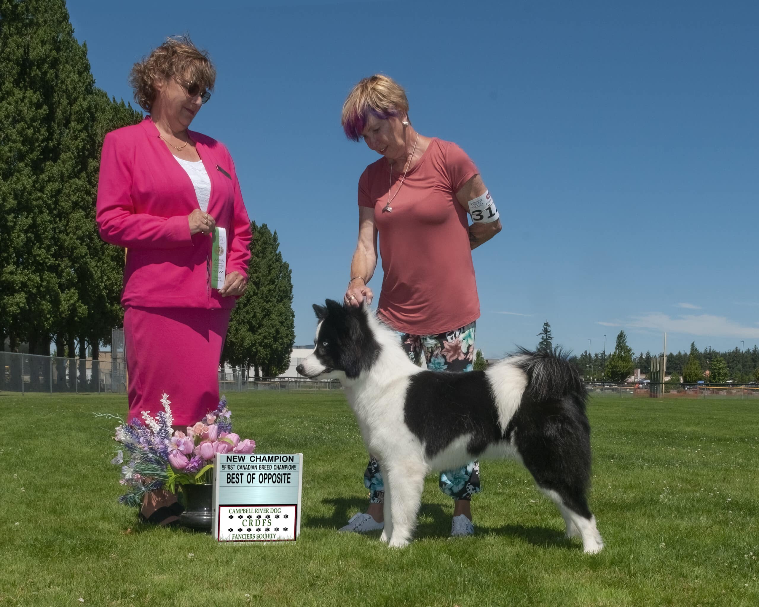 Yakutian Laika with judge and handler